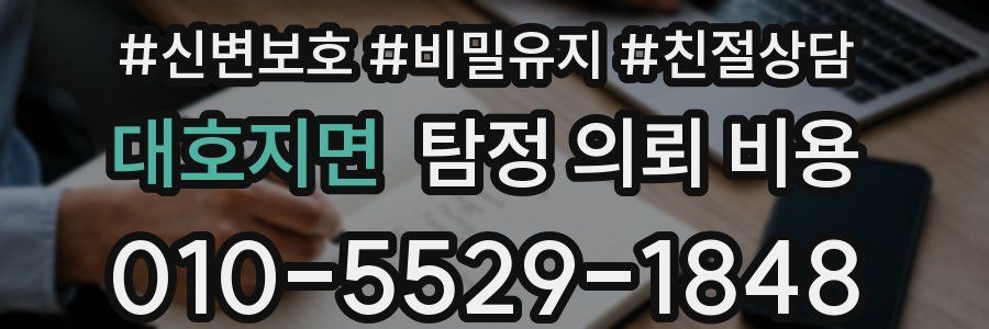 대호지면 탐정 의뢰 비용