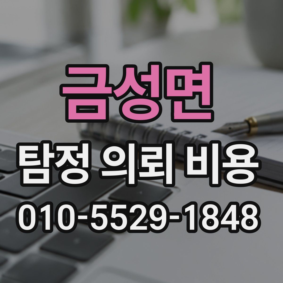 금성면 탐정 의뢰 비용
