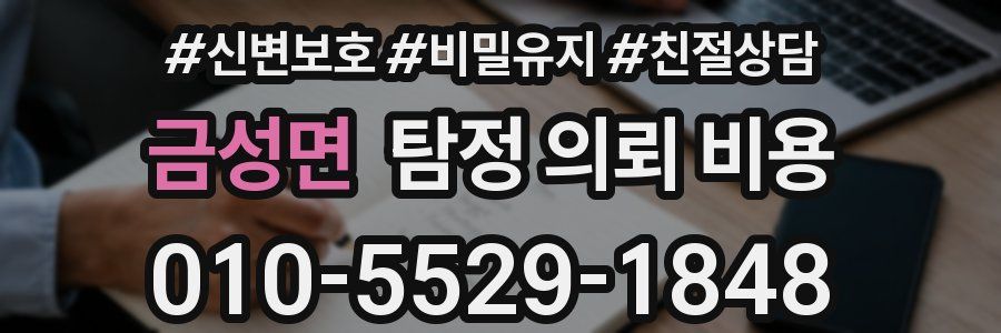 금성면 탐정 의뢰 비용