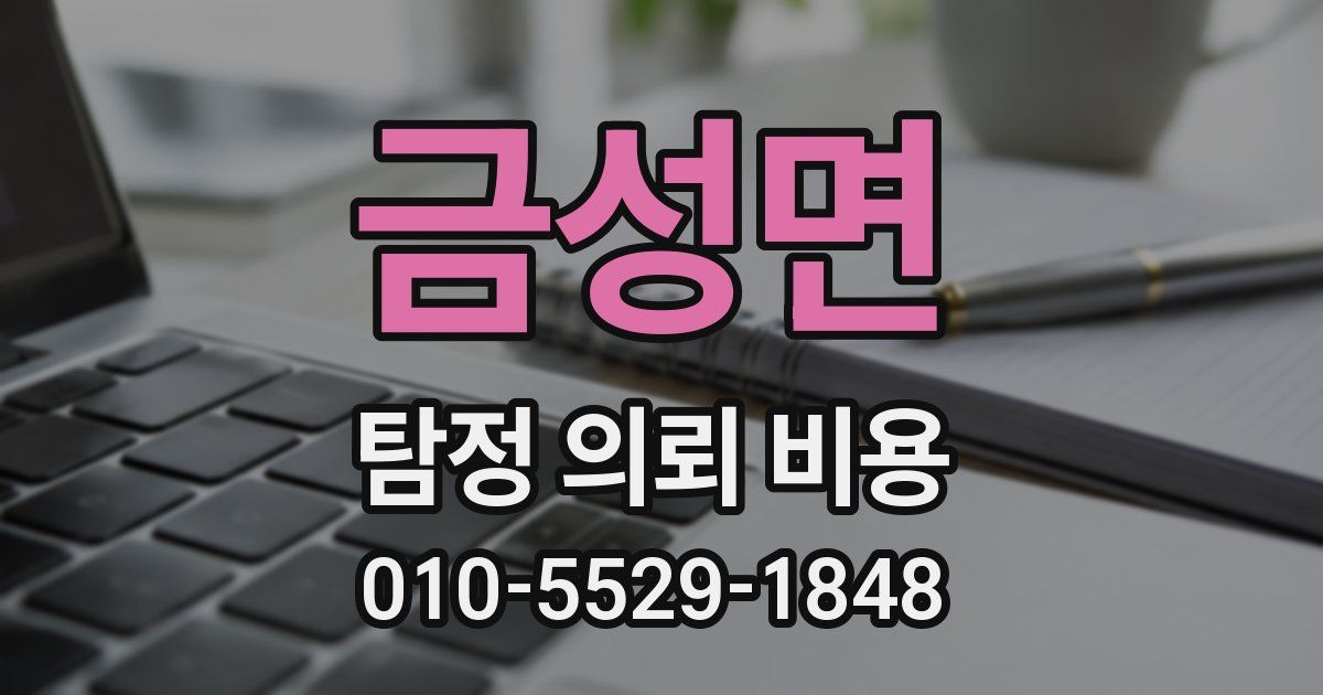 금성면 탐정 의뢰 비용