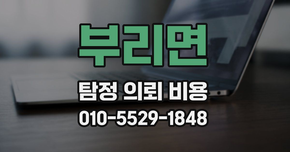 부리면 탐정 의뢰 비용