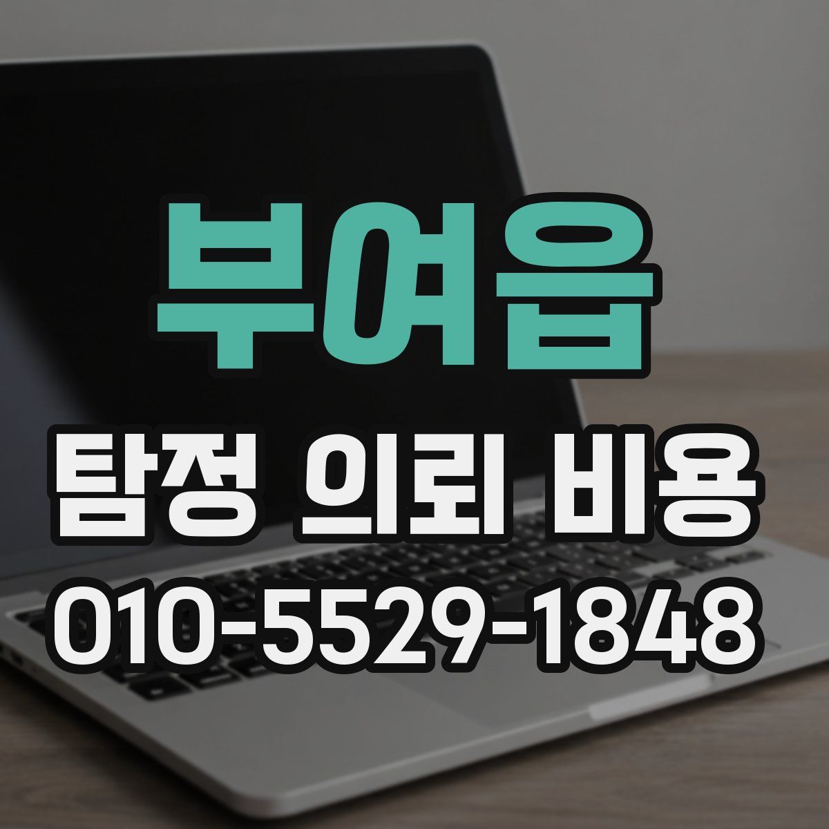 부여읍 탐정 의뢰 비용