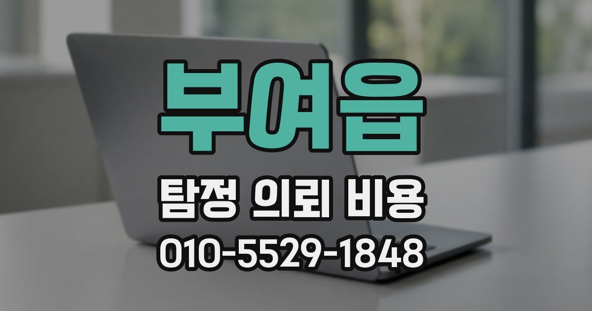 부여읍 탐정 의뢰 비용