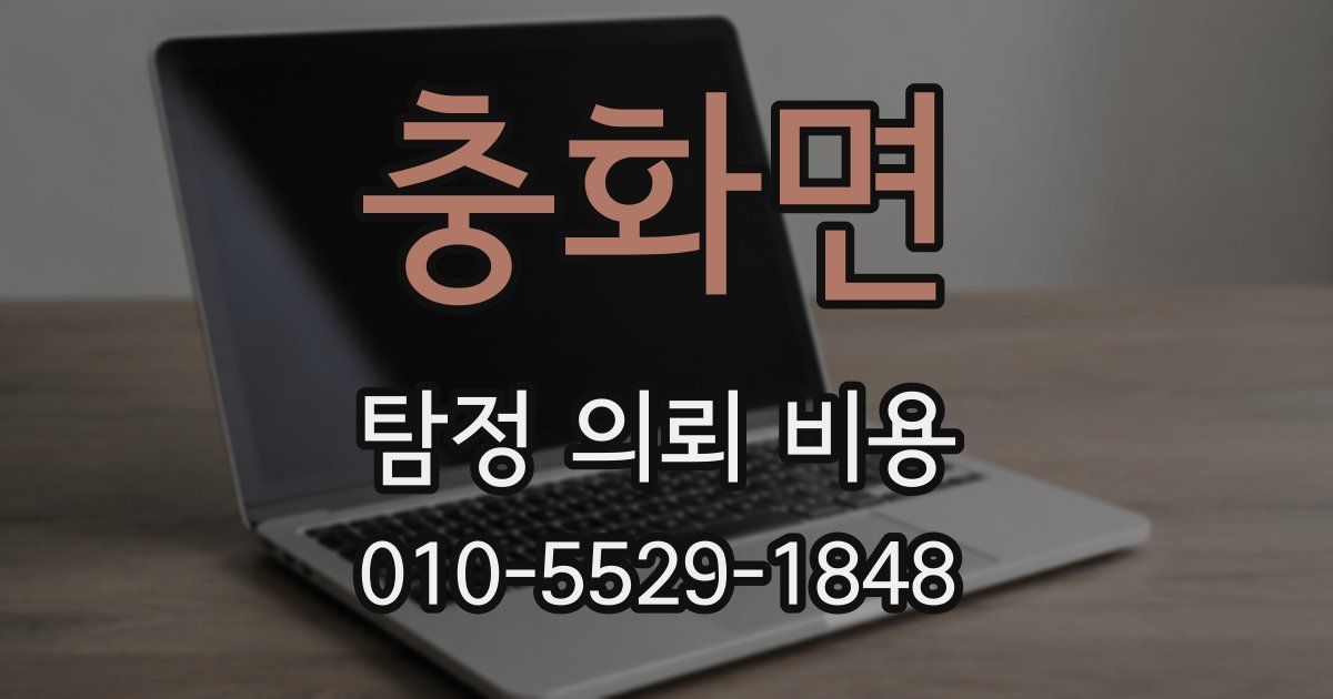 충화면 탐정 의뢰 비용