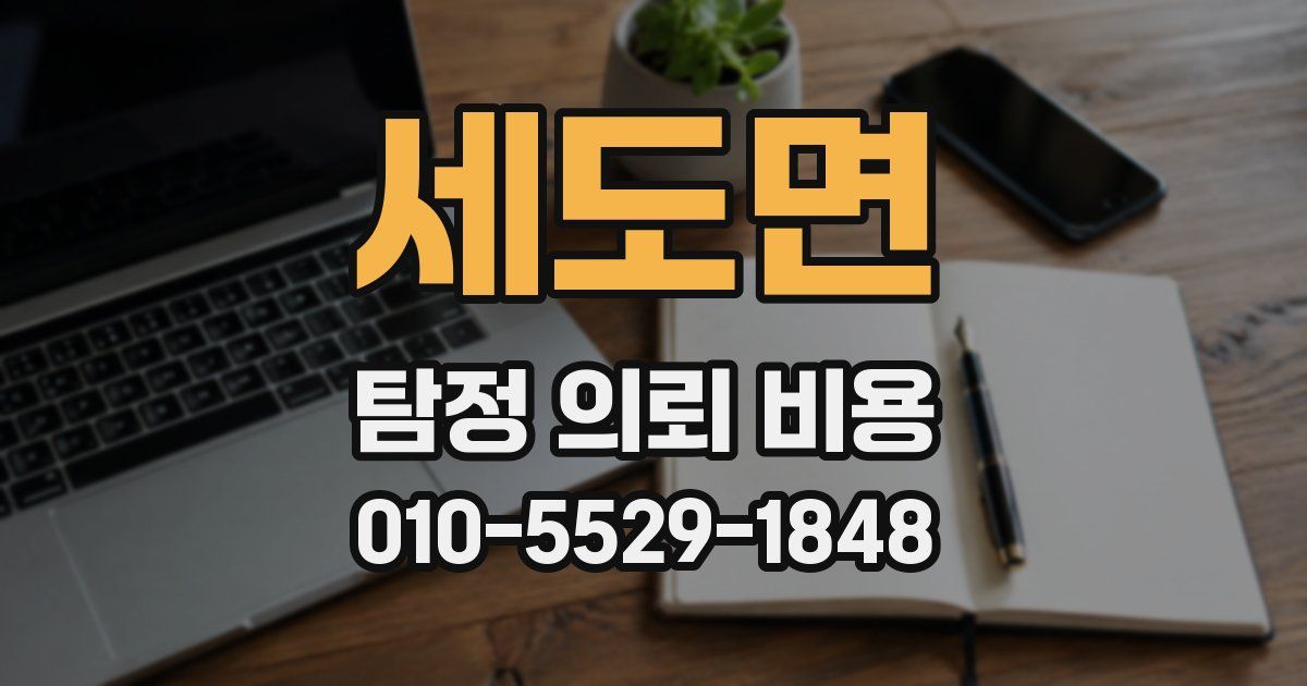 세도면 탐정 의뢰 비용