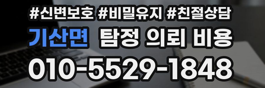 기산면 탐정 의뢰 비용