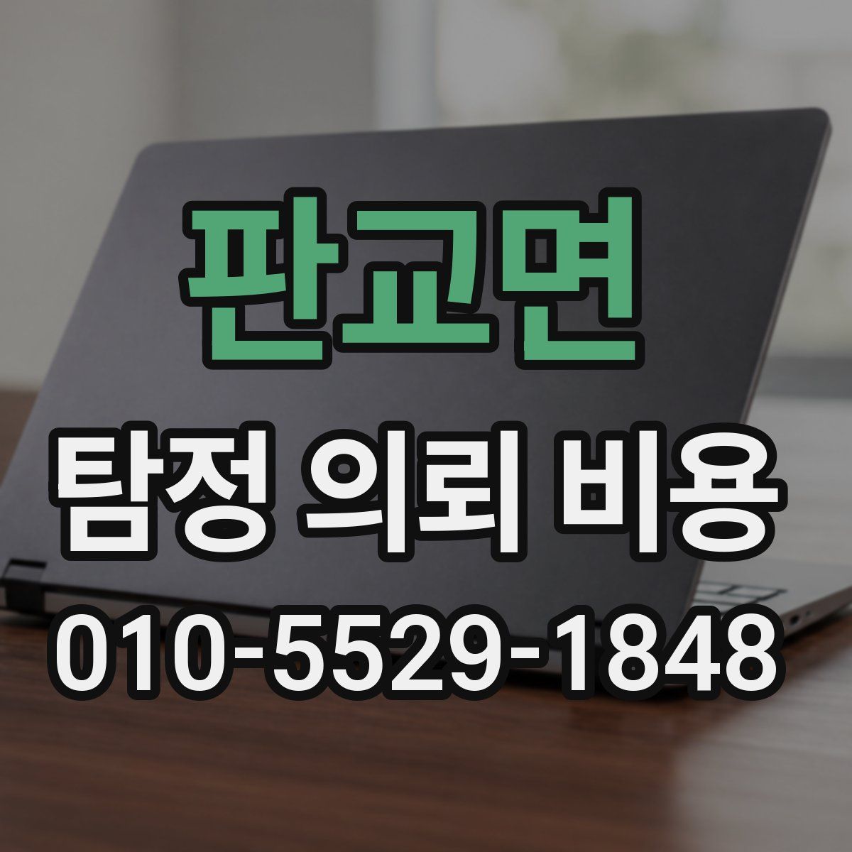판교면 탐정 의뢰 비용