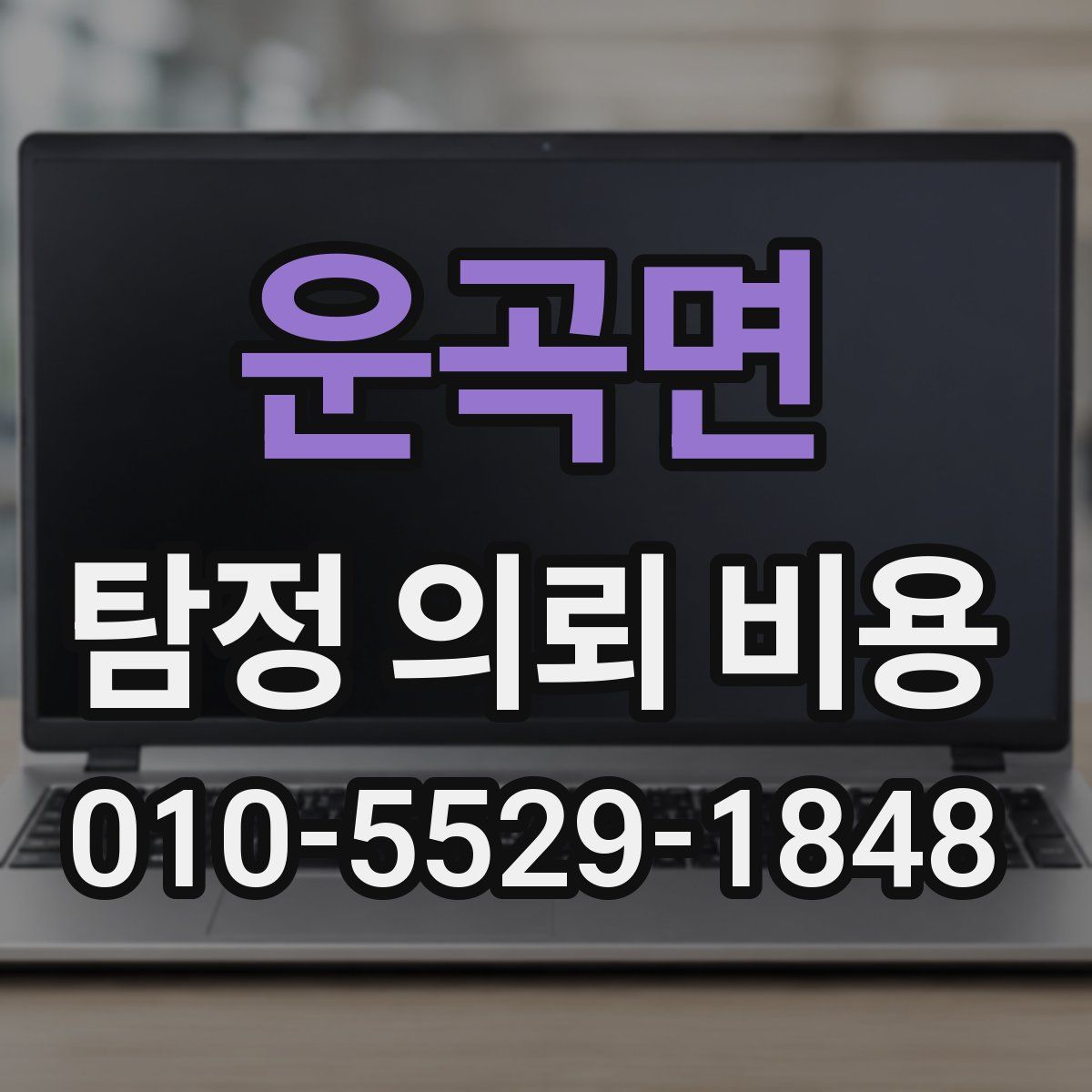 운곡면 탐정 의뢰 비용