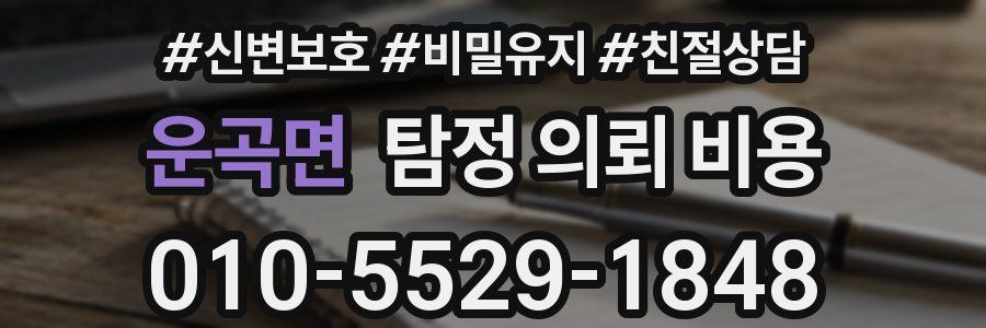운곡면 탐정 의뢰 비용