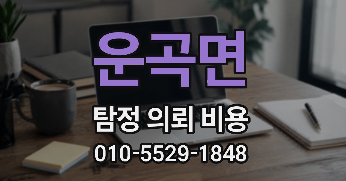 운곡면 탐정 의뢰 비용