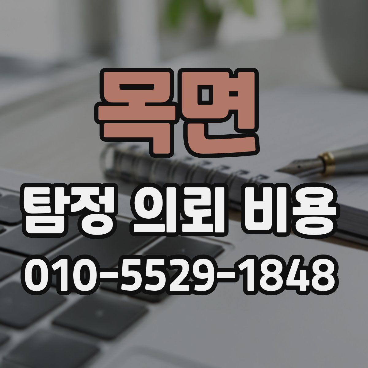 목면 탐정 의뢰 비용