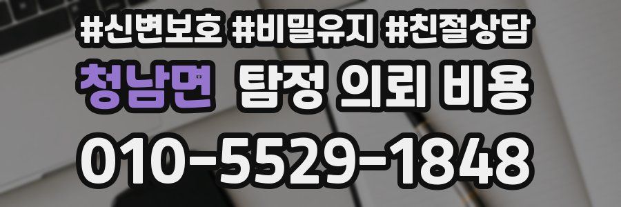 청남면 탐정 의뢰 비용