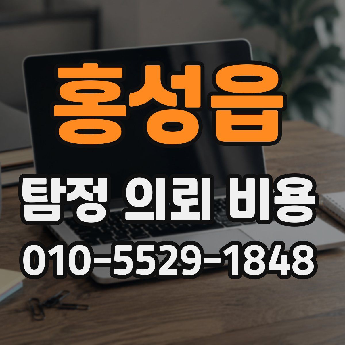 홍성읍 탐정 의뢰 비용