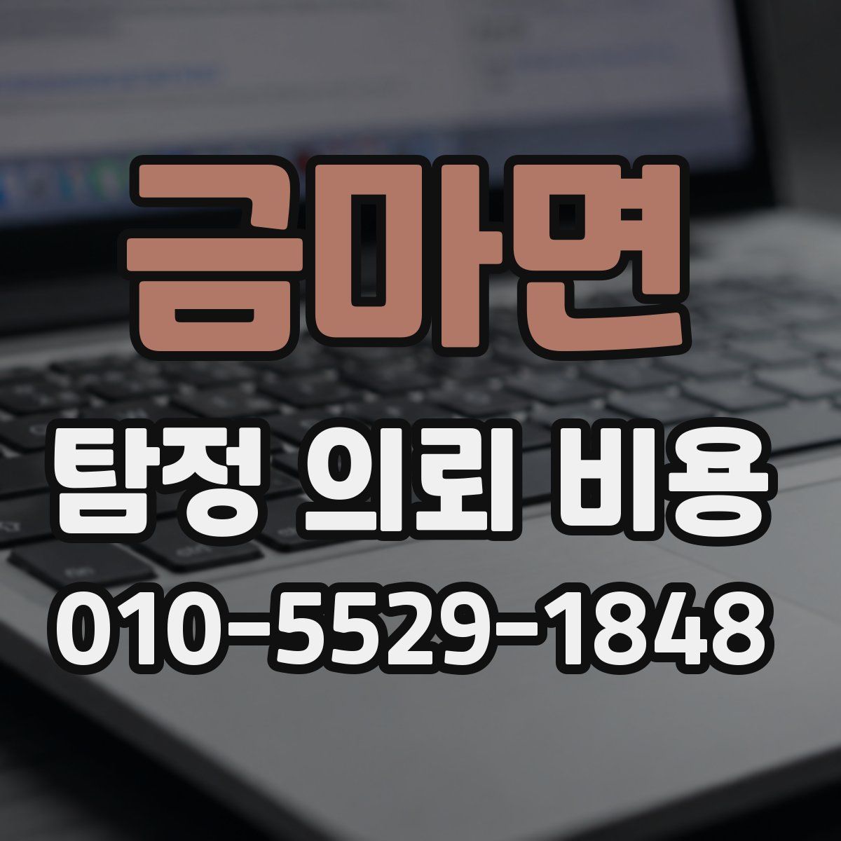 금마면 탐정 의뢰 비용