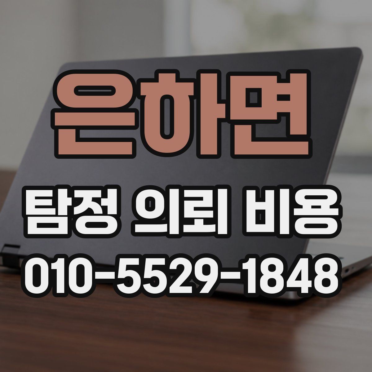 은하면 탐정 의뢰 비용 산정에 영향을 주는 조건