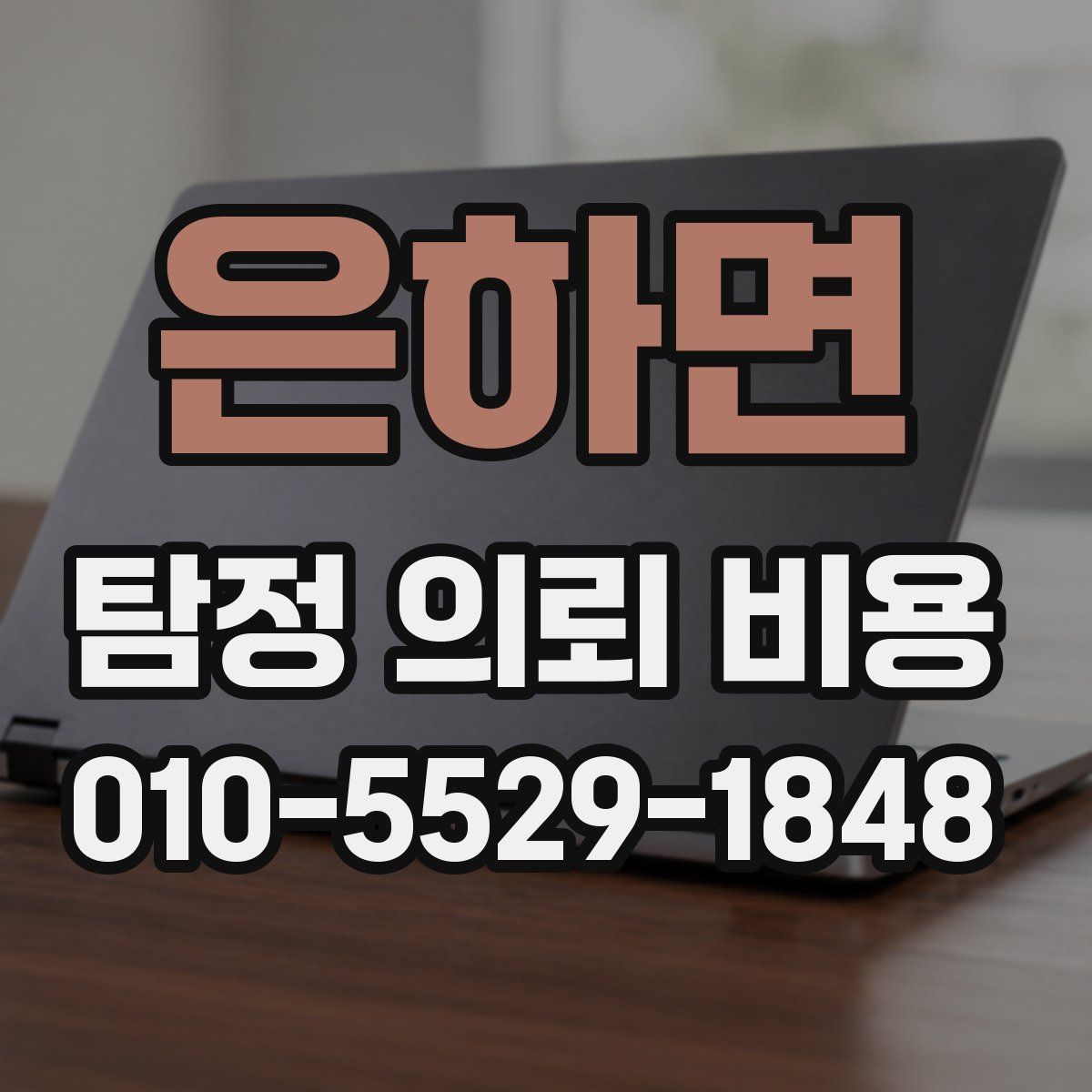 은하면 탐정 의뢰 비용