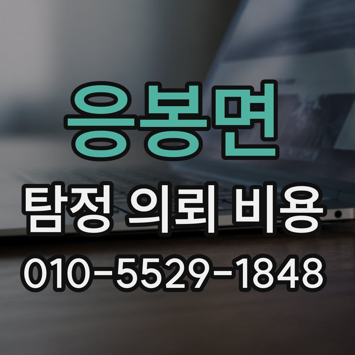 응봉면 탐정 의뢰 비용