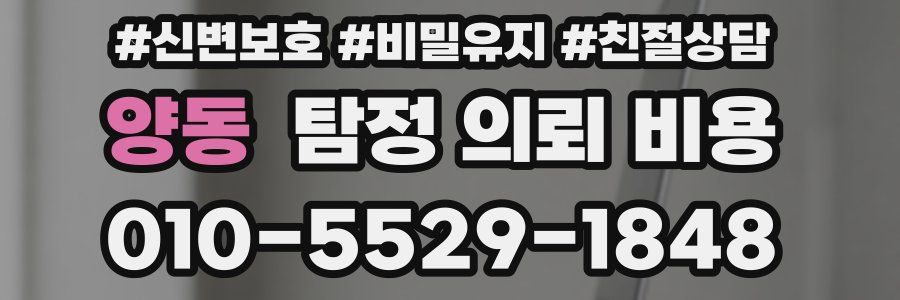 양동 탐정 의뢰 비용