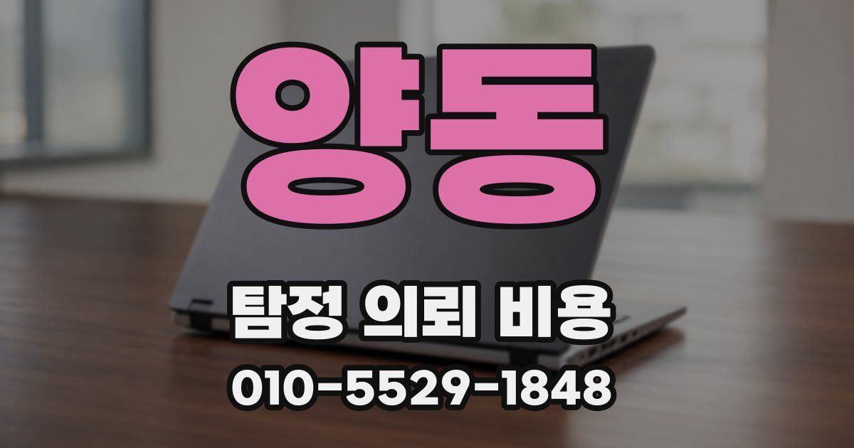 양동 탐정 의뢰 비용