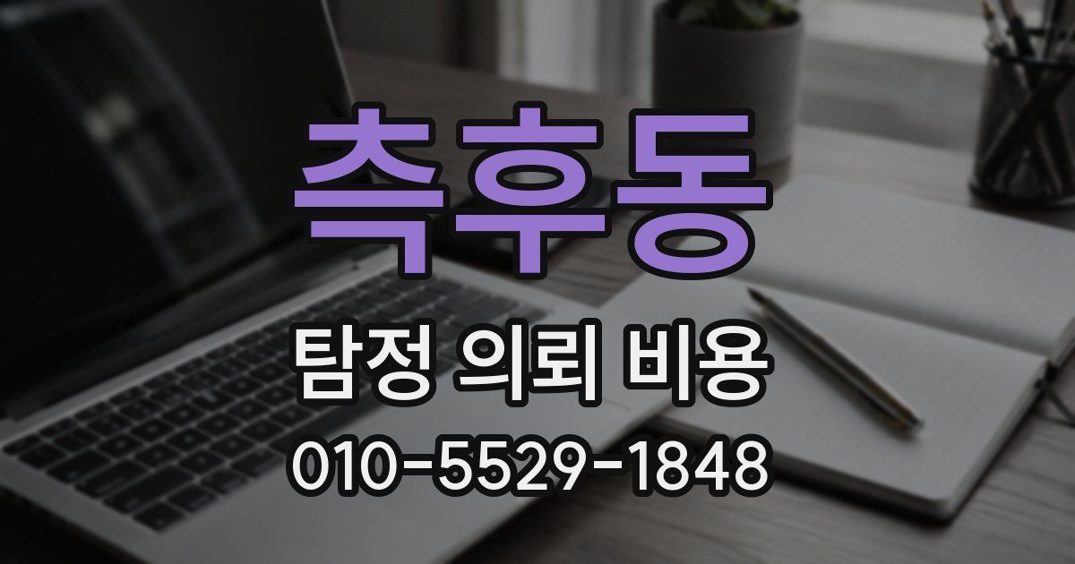 측후동 탐정 의뢰 비용