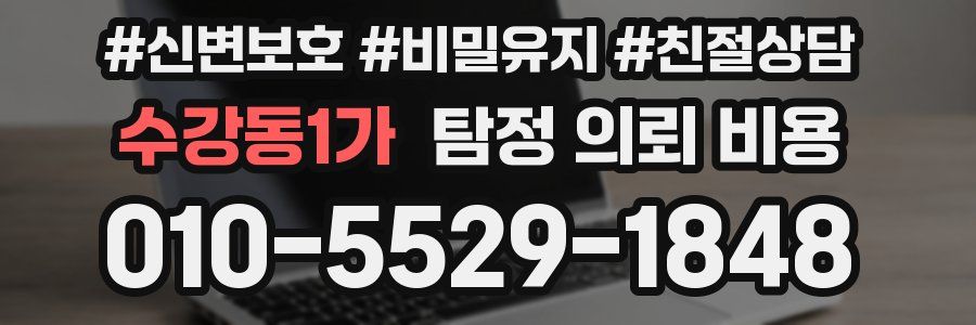 수강동1가 탐정 의뢰 비용
