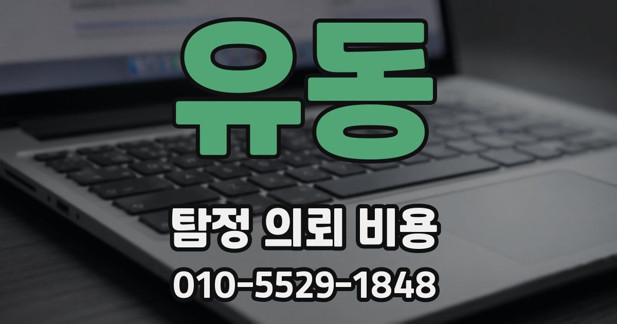 유동 탐정 의뢰 비용