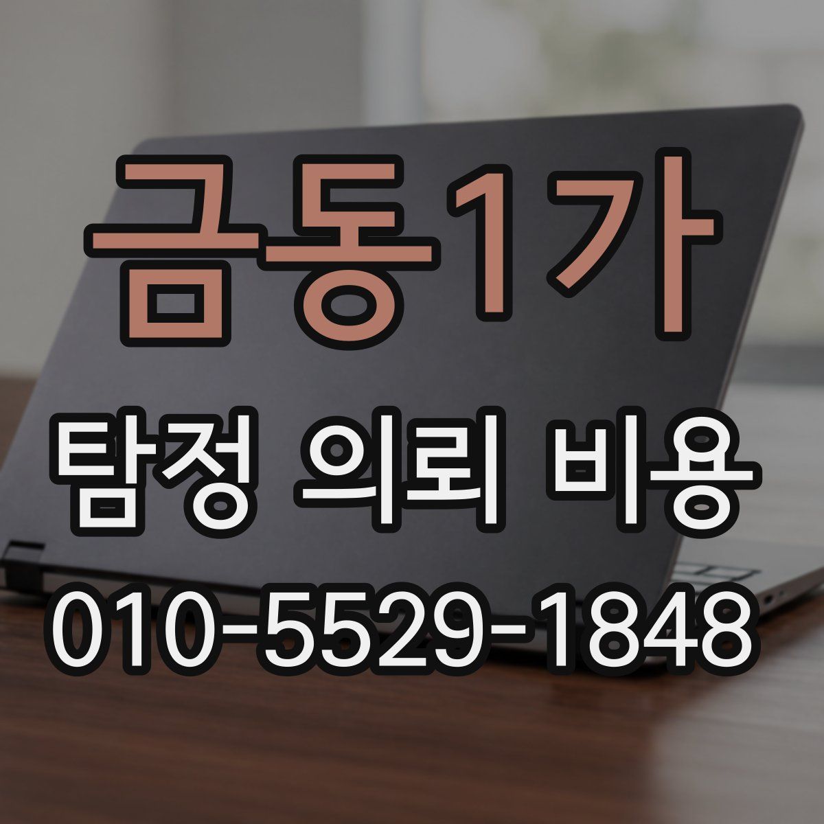 금동1가 탐정 의뢰 비용