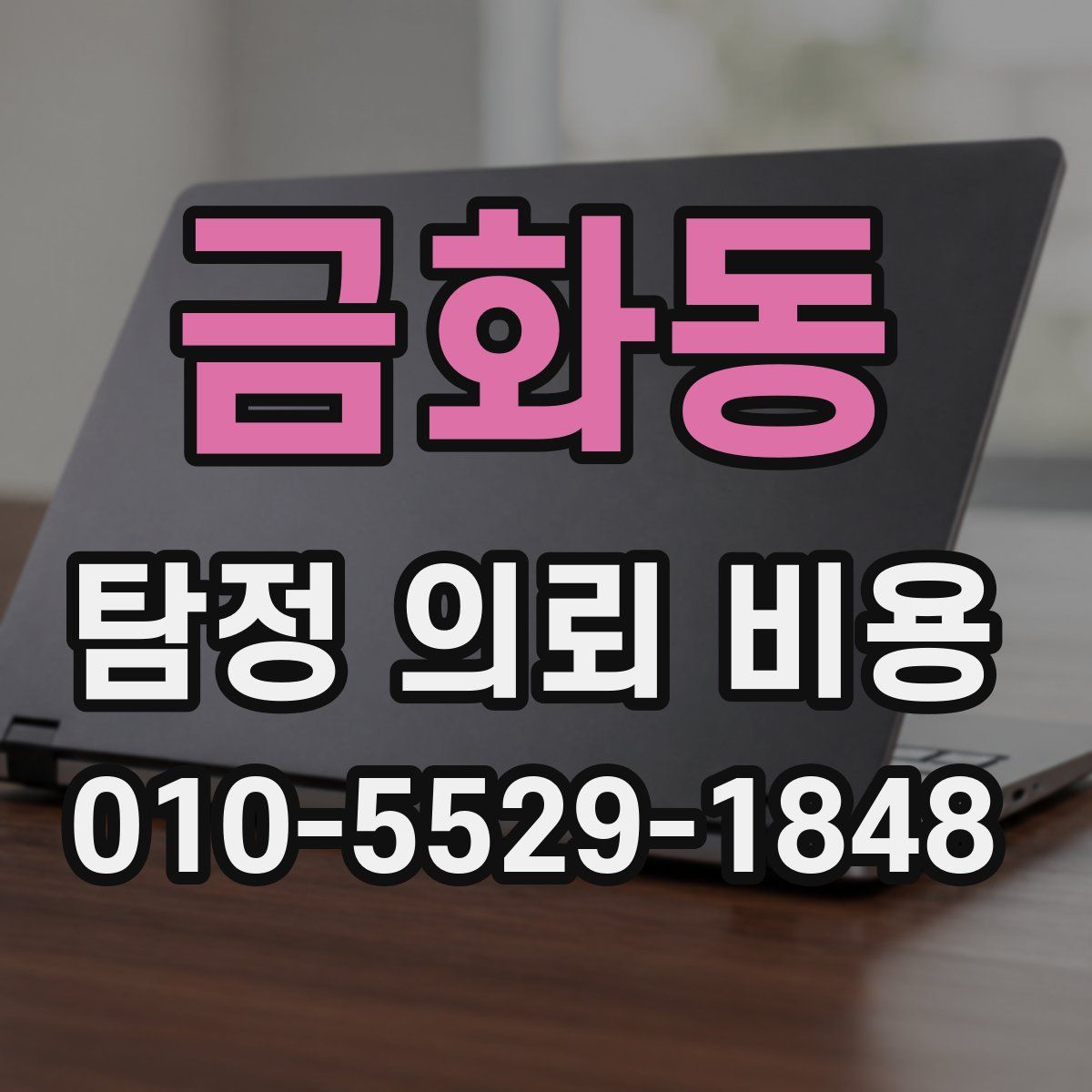 금화동 탐정 의뢰 비용