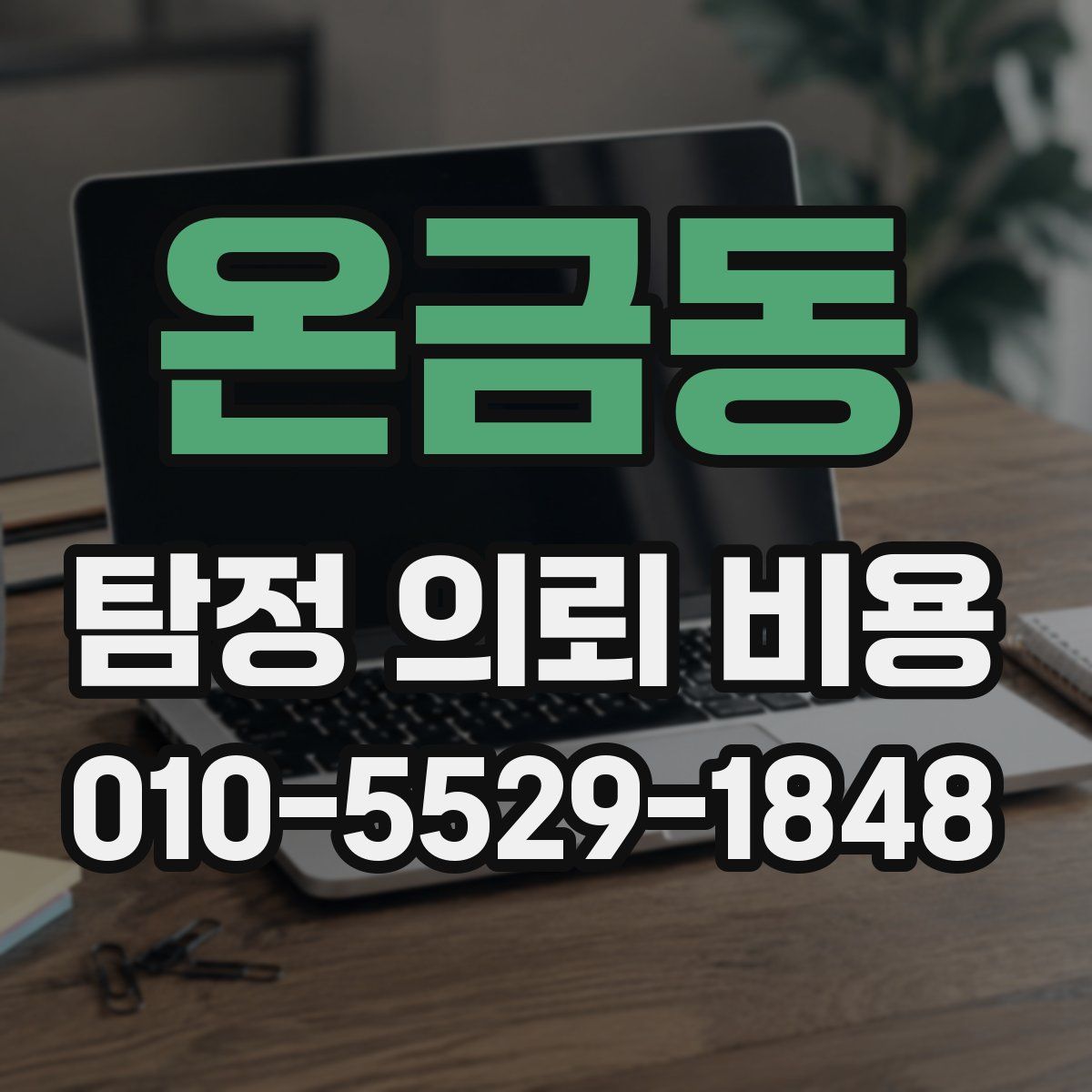 온금동 탐정 의뢰 비용