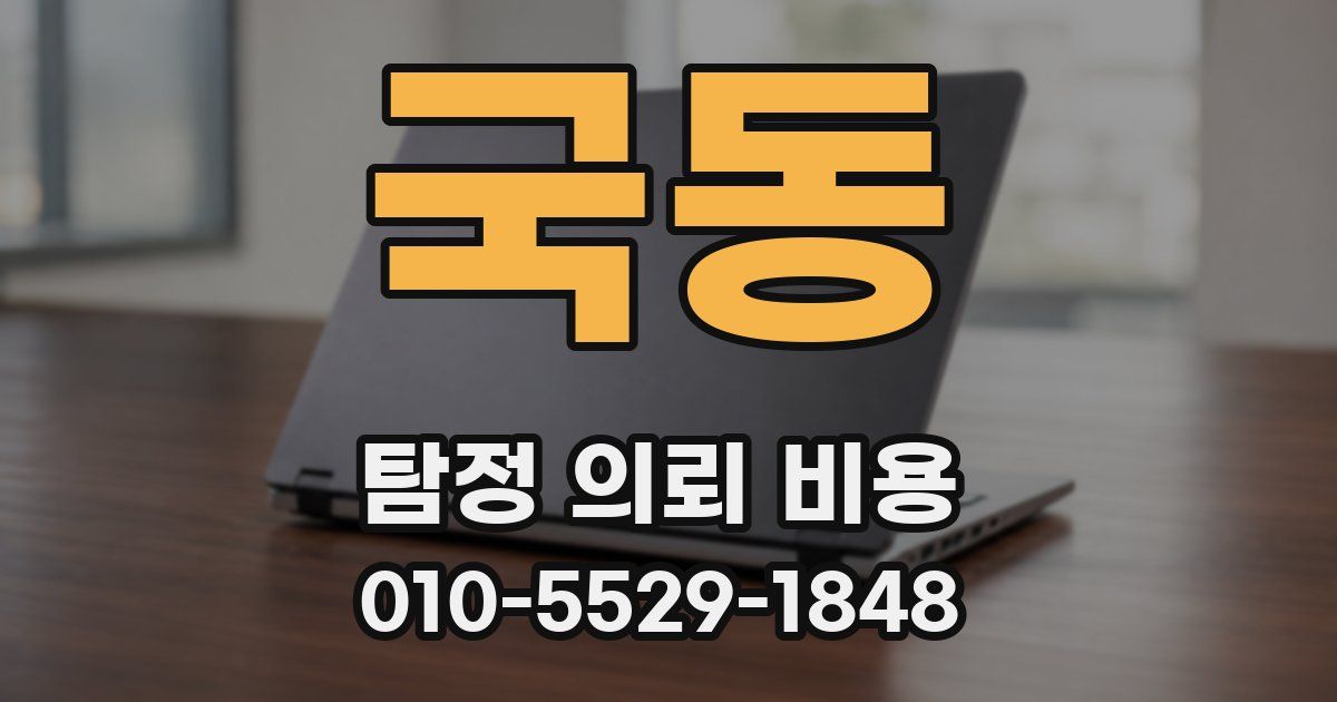 국동 탐정 의뢰 비용