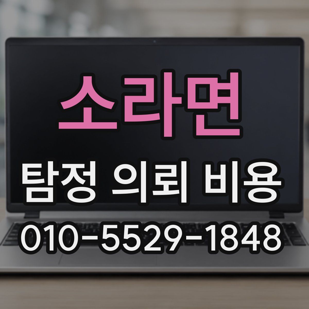 소라면 탐정 의뢰 비용
