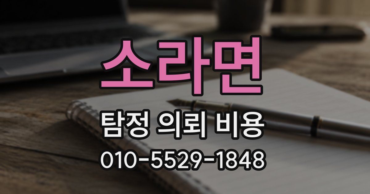 소라면 탐정 의뢰 비용