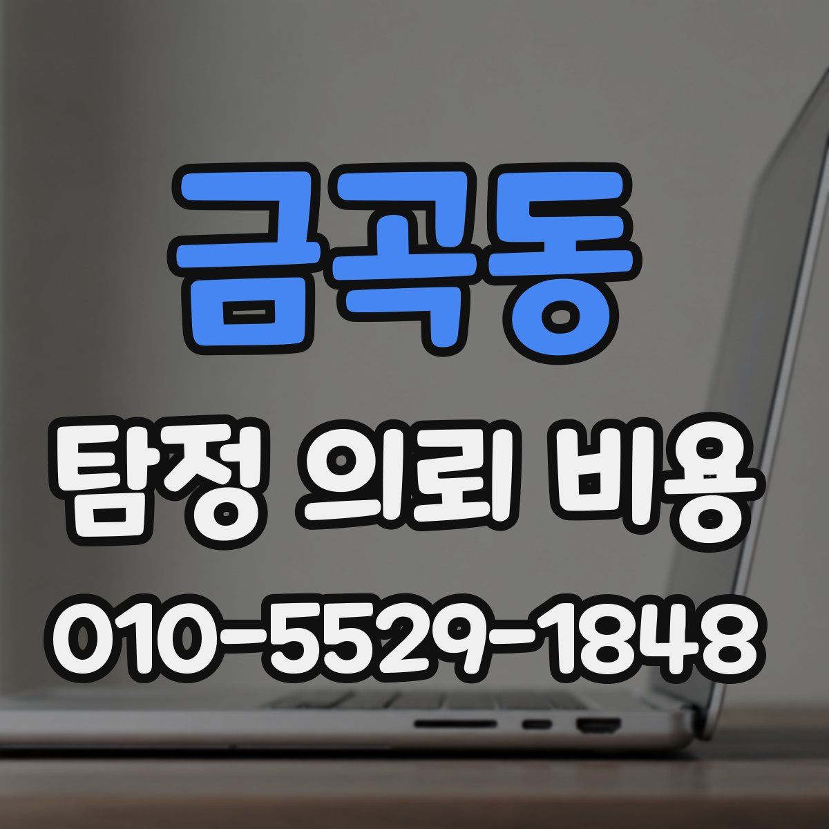 금곡동 탐정 의뢰 비용