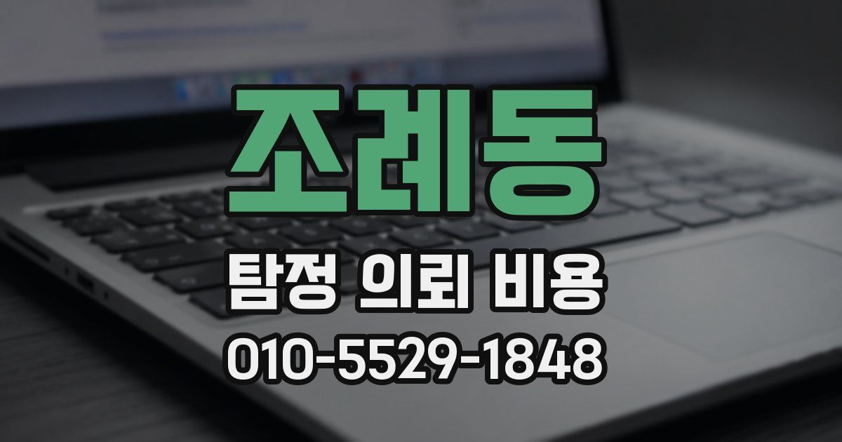 조례동 탐정 의뢰 비용