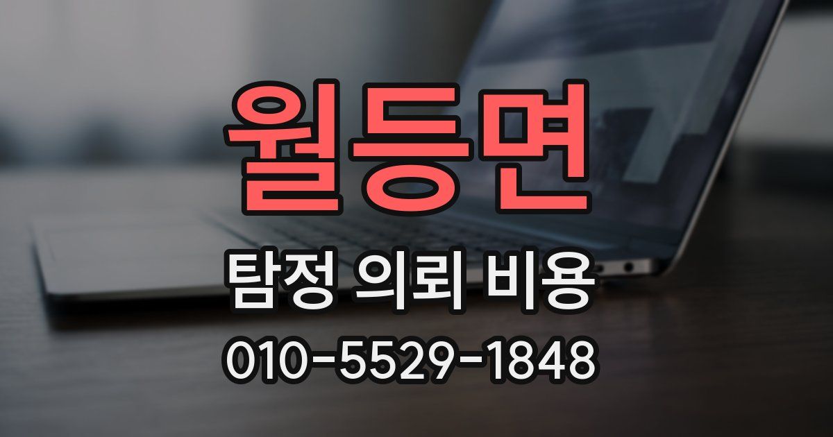 월등면 탐정 의뢰 비용