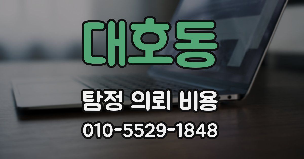 대호동 탐정 의뢰 비용