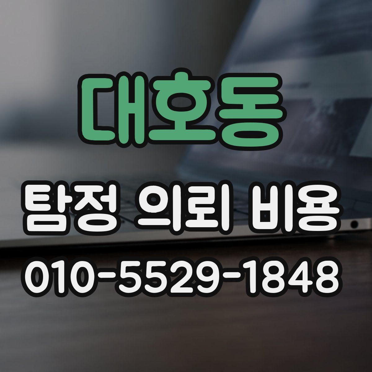 대호동 탐정 의뢰 비용