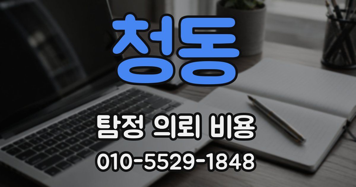 청동 탐정 의뢰 비용