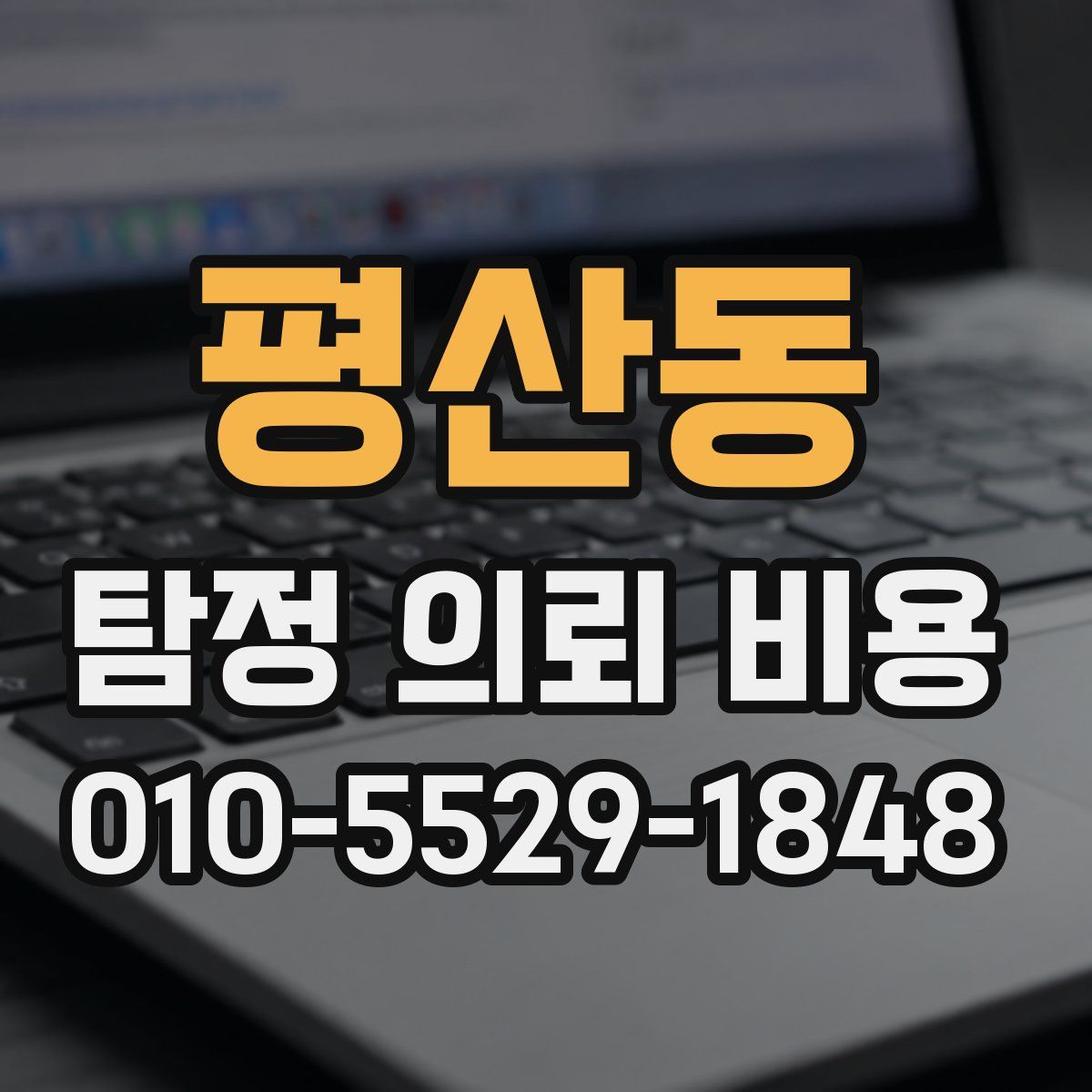 평산동 탐정 의뢰 비용