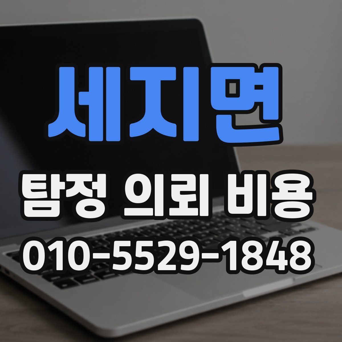 세지면 탐정 의뢰 비용