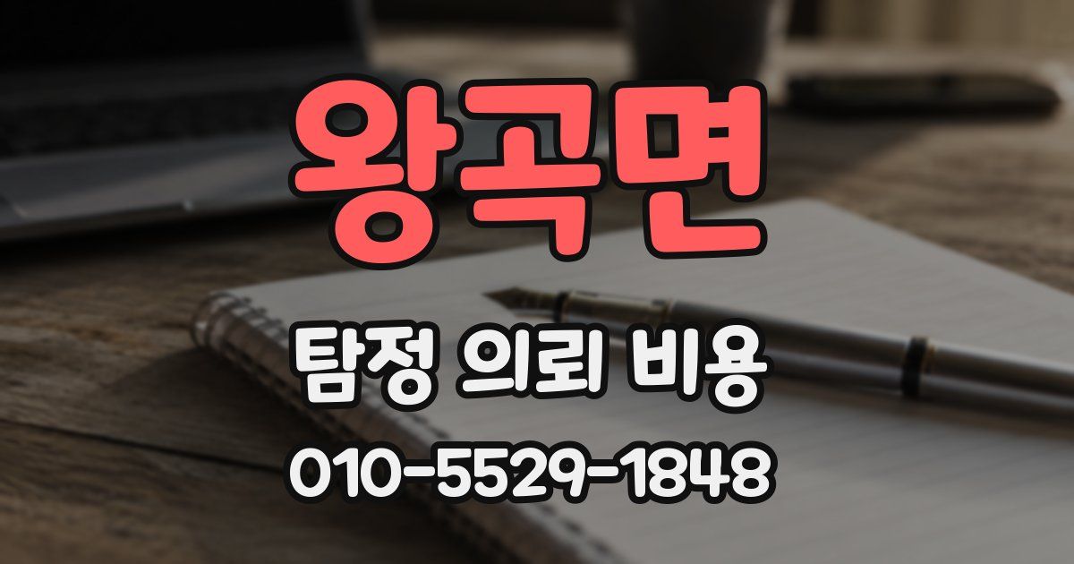 왕곡면 탐정 의뢰 비용