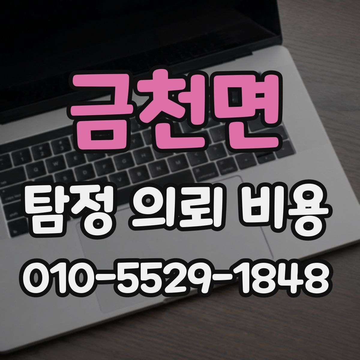 금천면 탐정 의뢰 비용