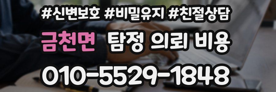 금천면 탐정 의뢰 비용