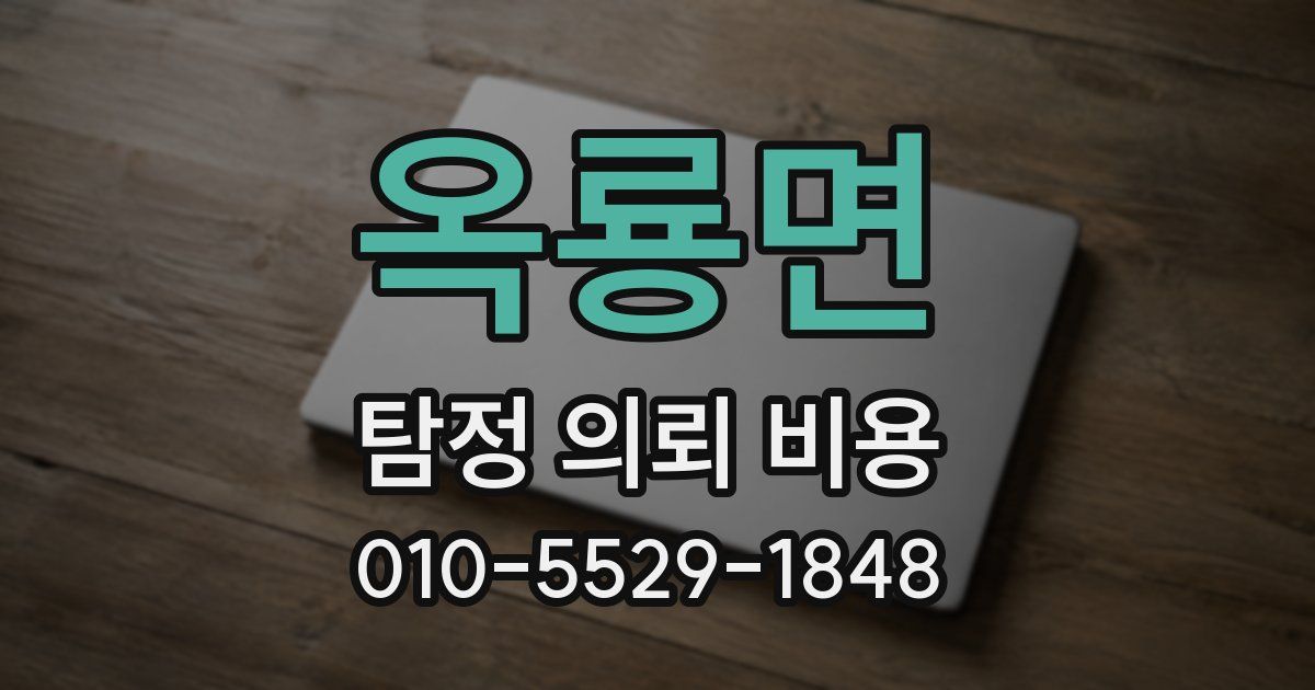 옥룡면 탐정 의뢰 비용