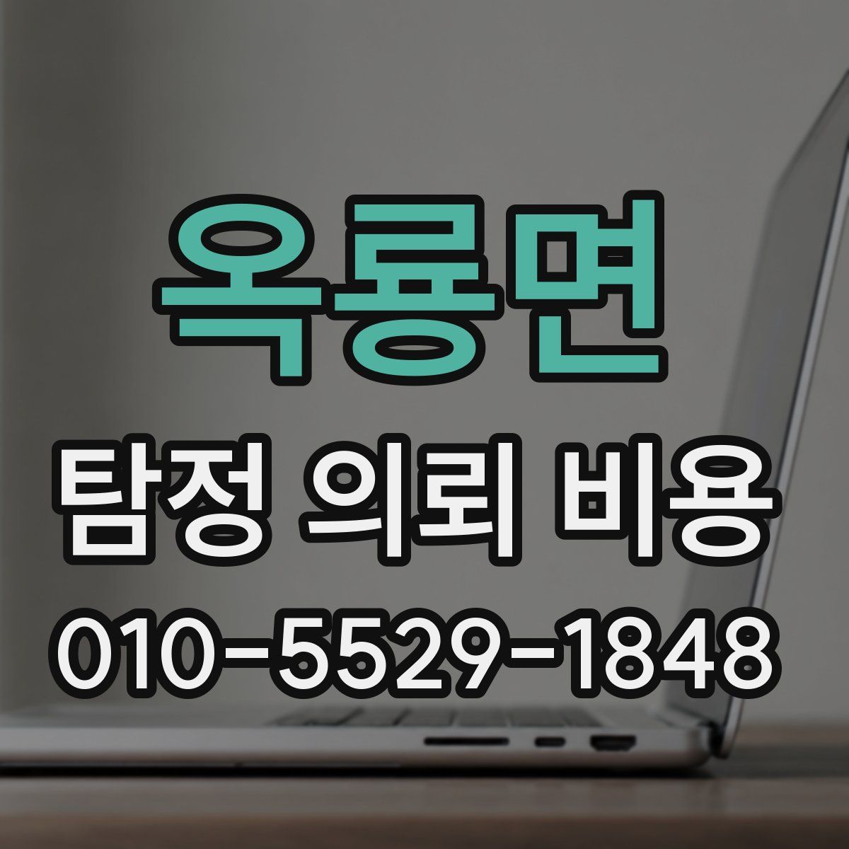 옥룡면 탐정 의뢰 비용