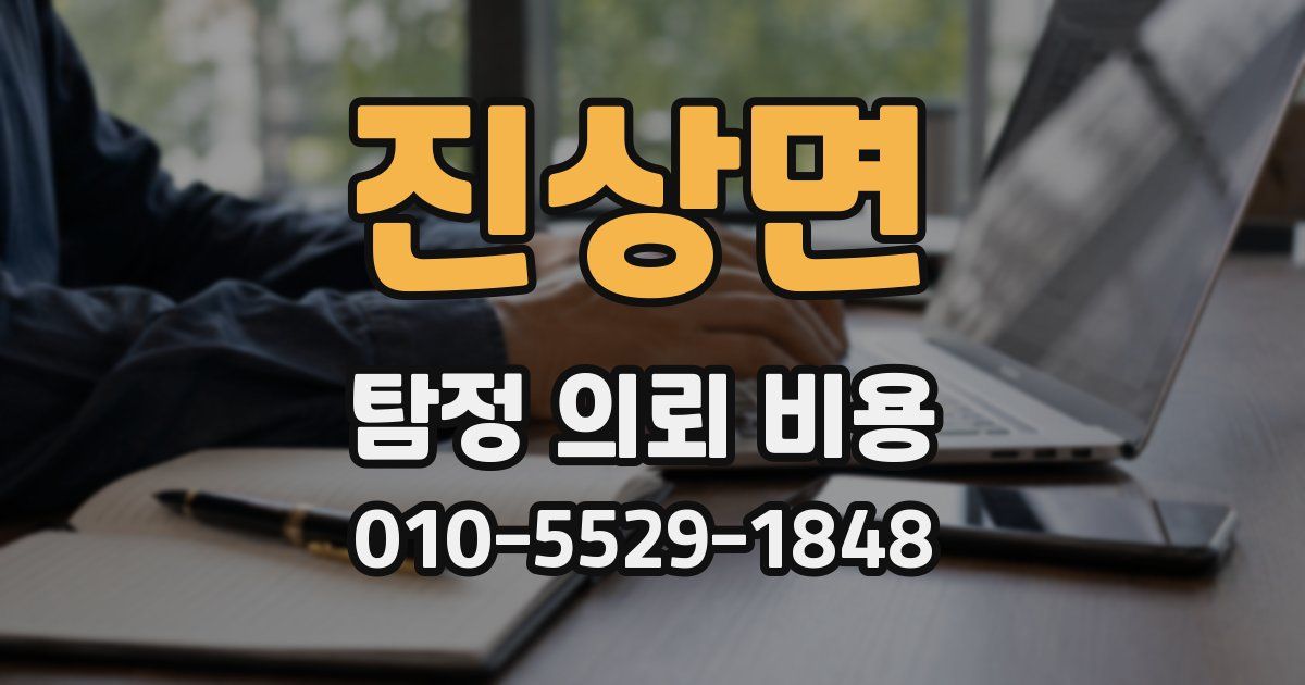 진상면 탐정 의뢰 비용