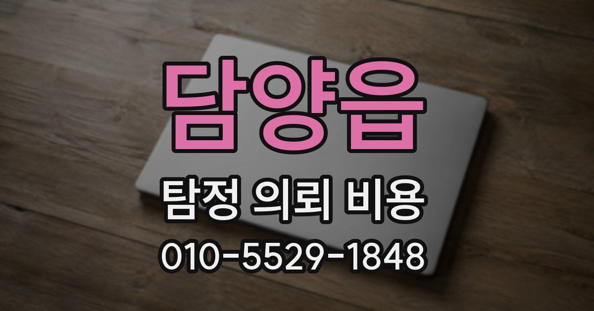담양읍 탐정 의뢰 비용