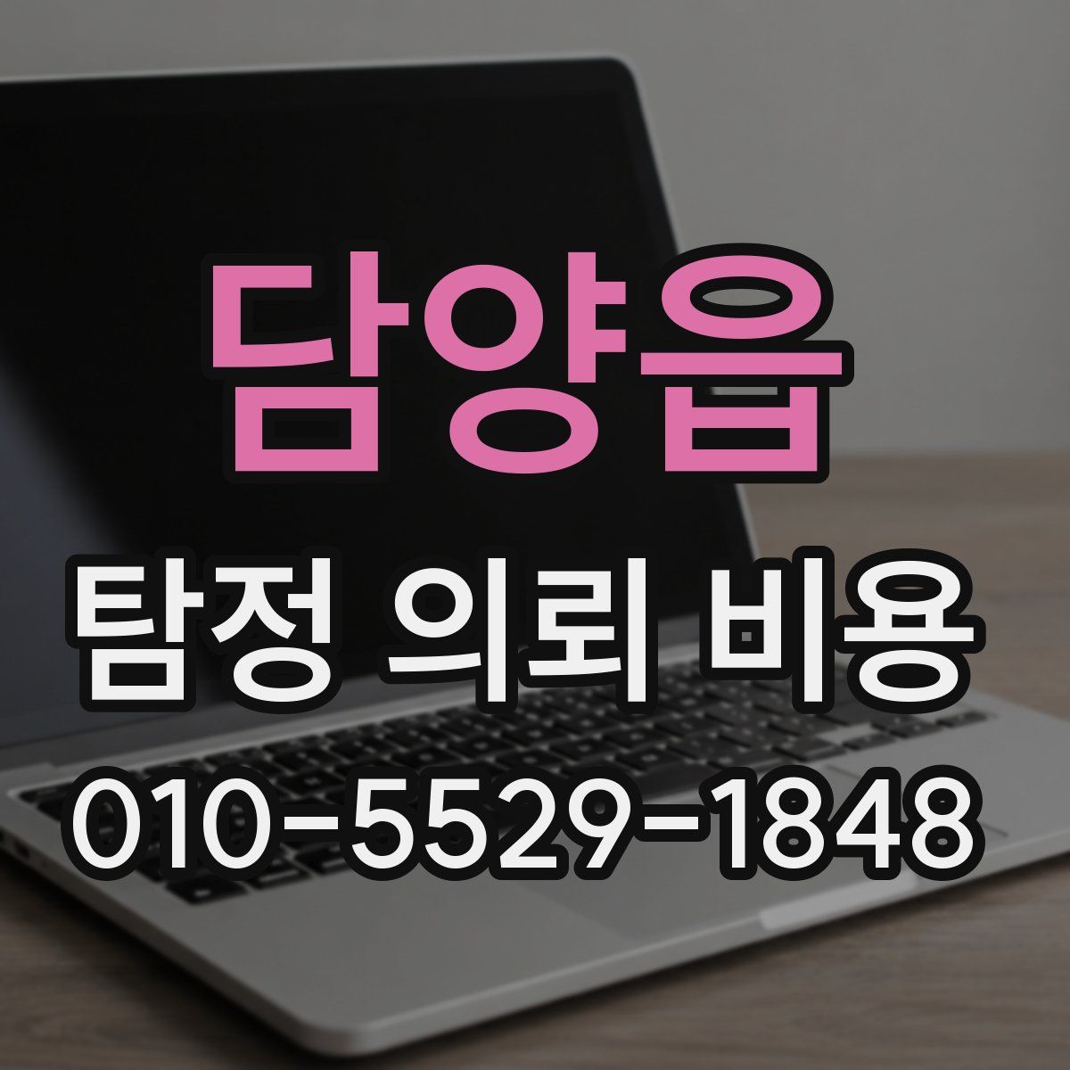 담양읍 탐정 의뢰 비용