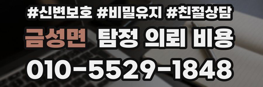 금성면 탐정 의뢰 비용