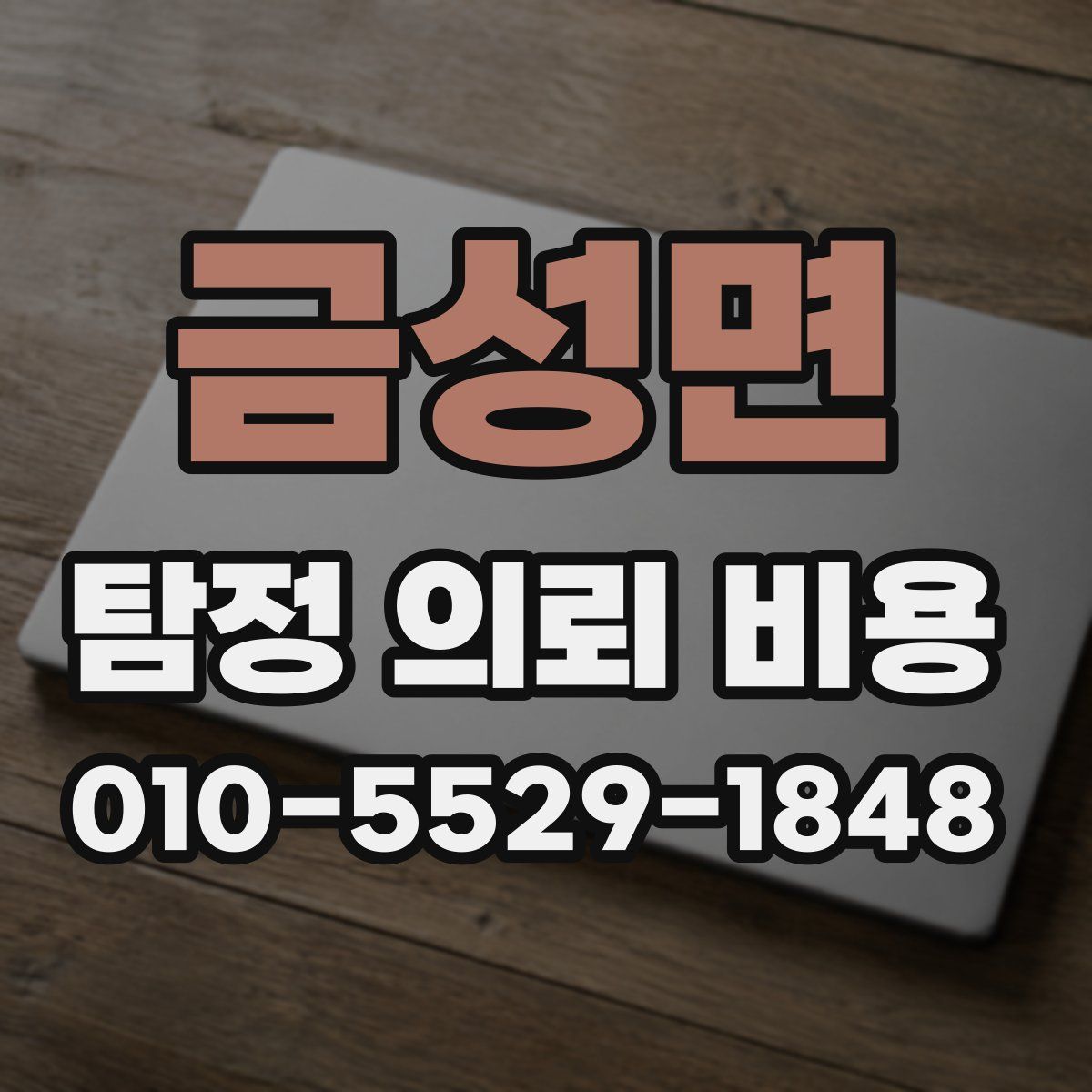 금성면 탐정 의뢰 비용